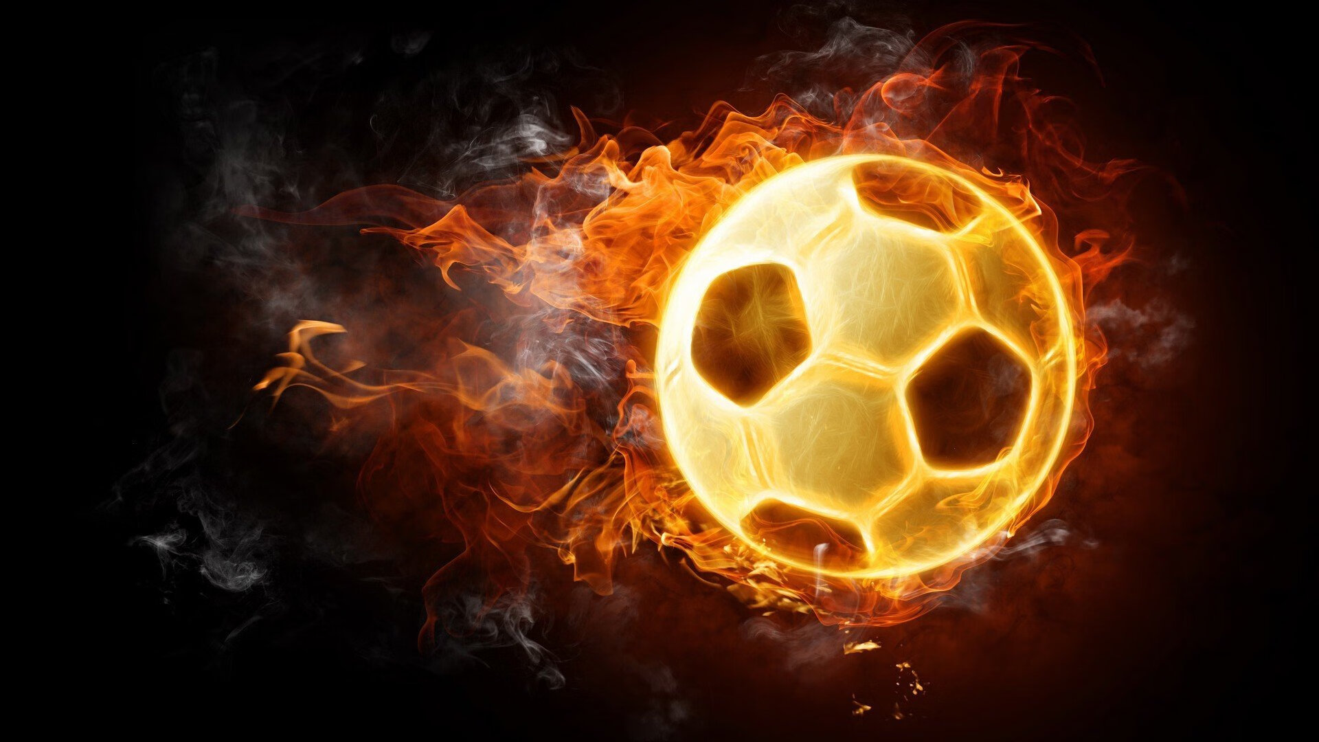 南非橄榄球：成功举办的赛事推动当地经济发展，南非获得橄榄球世界杯